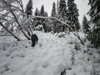 IMG_20241207_110604.jpg
